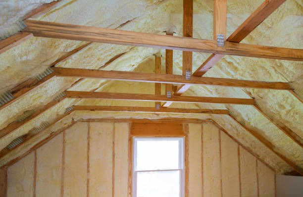 Best Eco-Friendly Insulation in Gilbert, MN