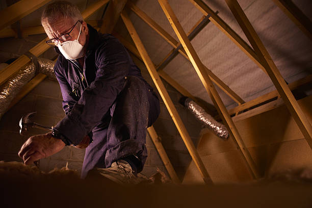 Best Cellulose Insulation in Gilbert, MN